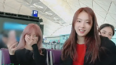 本月少女