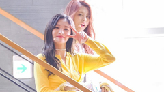 Wee Woo
