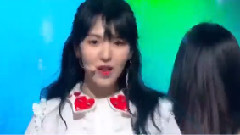 Rookie