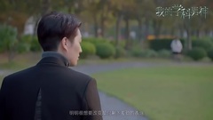 伪装