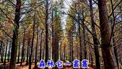 南屏晚钟