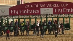 DWC 2016 Race 9 Dubai World Cup Sponsored By Emirates Airline