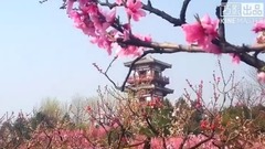 ASMR - 音乐短片