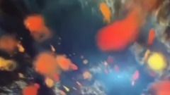宇宙大爆炸