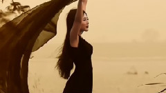 雁南飞