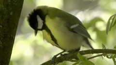 幸福的阳光
