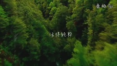 蔡依林 - 如果这不是你,谁会是你