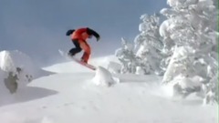 The Art Of Flight