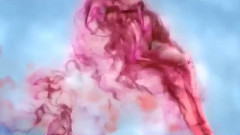 The Color Of Lov