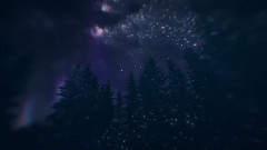 Hallucinations