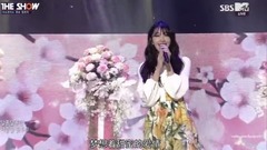 你这样的春天
