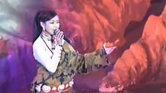 卡瓦金