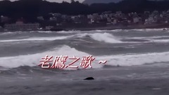 老鹰之歌