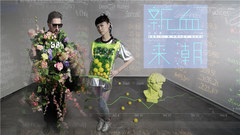 简迷离 - 新血来潮