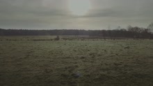 Versengold - Haut mir kein' Stein (Offizielles Video)