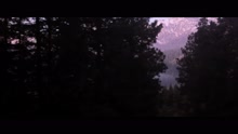Tacoma (Official Music Video)