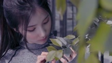 SOHEE - SOHEE - Spotlight 预告