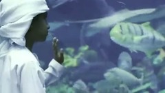 Dubai Flow Motion