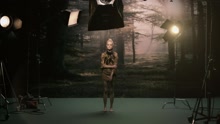 Fredrika Stahl - Willow (Official Music Video)