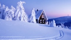Winter Cold