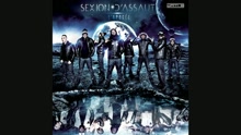 Sexion d'Assaut - -75 degrés (audio) (Still/Pseudo Video)