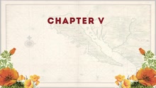 Highway 1 (Big Sur - Chapter V)