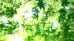 司机哥们