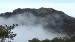 奇松 怪石 云海 黄山