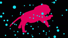 Tough Love - Animal 歌词版