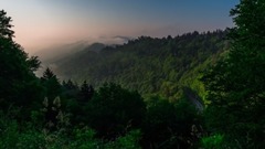 ELKMONT SYMPHONY