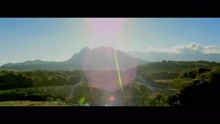 Tell Me How Much (Video Edit)