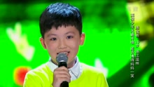 陈俊析 - 小小少年