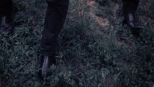 Marlene Kuntz - Il