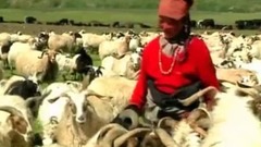 为草原骄傲
