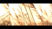 Charly Brunner,Simone - Liebe ist Liebe (Videoclip)