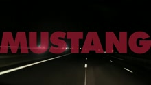 Ecran total (Official Music Video)