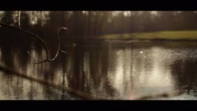 Laurent Voulzy - Jeanne (Official Music Video)