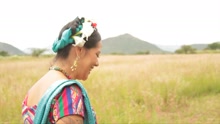 Lila Downs - Palomo Del Comalito