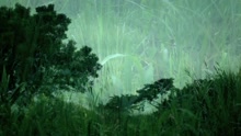 My Home (Videoclip)