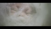 La Ballata Della Farfalla Melitaea (videoclip)