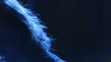Only in Songs / Night and Dreams