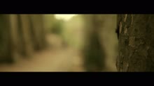 Sidonie - En Mi Garganta (Videoclip)