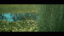 So High (Official Music Video)