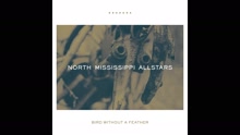 North Mississippi Allstars - Bird Without a Feather (Audio) (Pseudo Video)