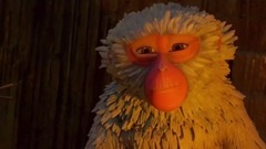 Monkey's Story