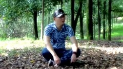 一路踏歌走