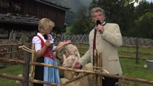 Die Schäfer - Das