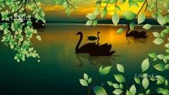 Still Water