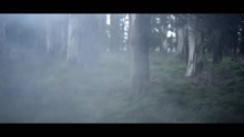 Cuentos Borgeanos - Animales (Videoclip)