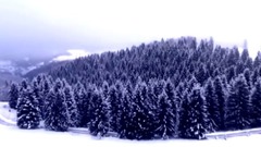 Winterfell